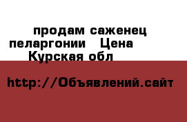 продам саженец пеларгонии › Цена ­ 300 - Курская обл.  »    